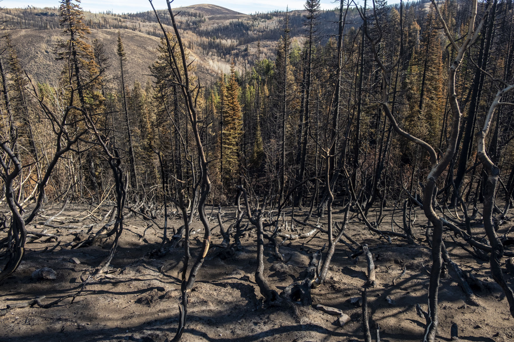 Badger Fire damage south end